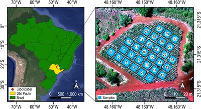 UAV imagery data and machine learning: A driving merger for predictive analysis of qualitative yield in sugarcane